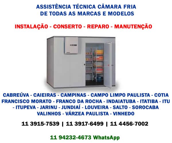 Assistência técnica câmara fria